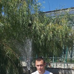 ������, 29 ���, ������