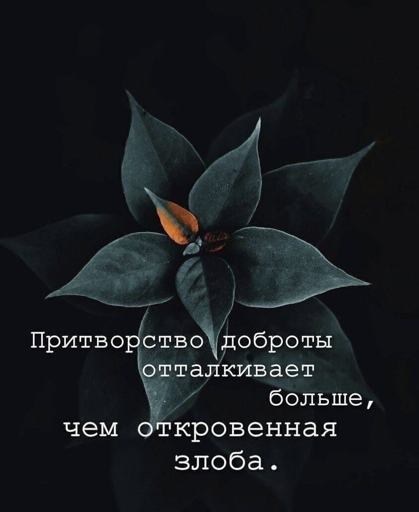   - 16  2025  18:21
