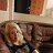 ���� �������, �������, 49 ��� - ��������� 14 �������� 2026