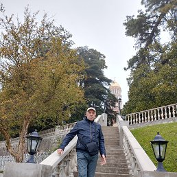 ������, 65 ���, �����