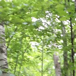 �������, ���������, 43 ����