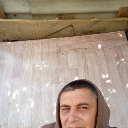 , 38, 