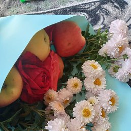 ��������, ������, 40 ���