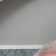 , 65 , 