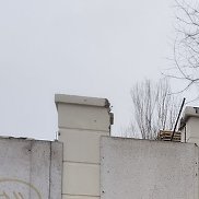 ����, 40 ���, �����������