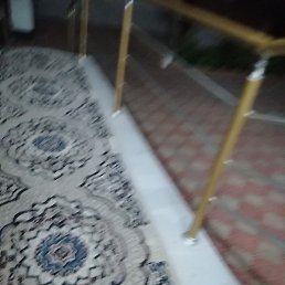 ���� ���, �����, 25 ��� - ��������� 27 ������� 2025