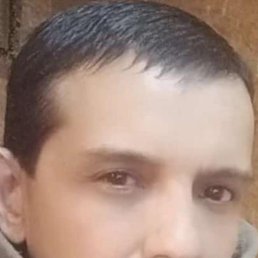 , 29, 