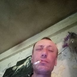 ����, 48 ���, �������