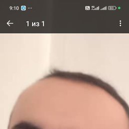 �����, ��������������, 41 ���