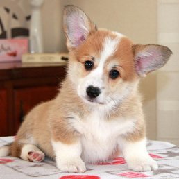 ��������, ������, 23 ����