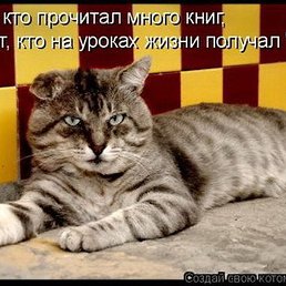 Alek, ������