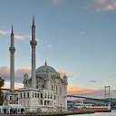 Фото Светлана, Витебск - добавлено 25 октября 2025