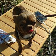 ������, 41 ���, �����-���������