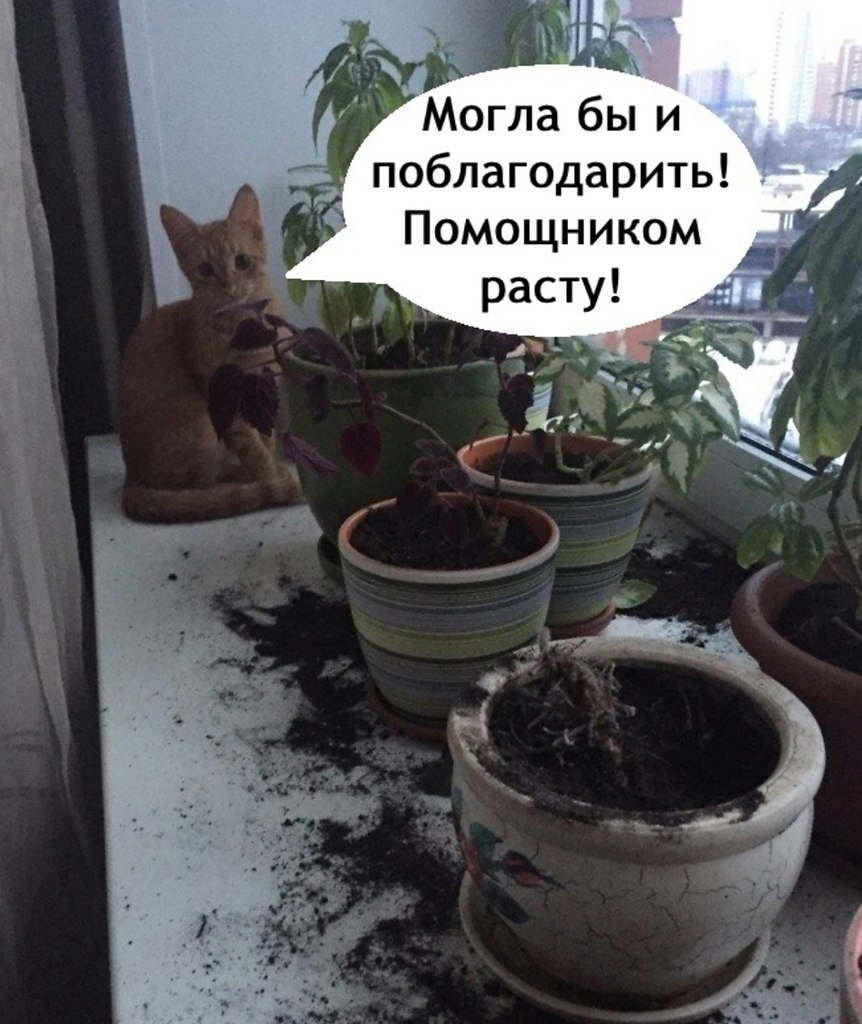 ,  - 3