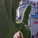 ���� ������, ��������, 54 ���� - ��������� 16 ������� 2025 � ������ ���� ����������
