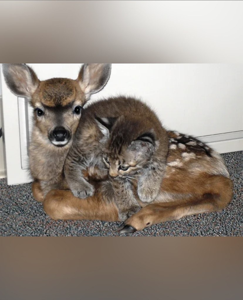 ��� �������� �� � ����, �� ������ ����� ���� �����. ����� ������� ������ � ���������� ��������� ... - 4