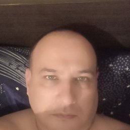  , 43 , 