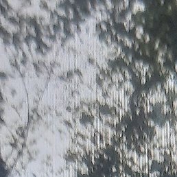 �����, �����, 55 ���