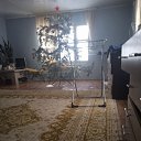    31 , , 33  -  28  2023