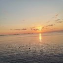  , --, 55  -  2  2025    