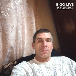 ������� ���������, 41 ���, ����