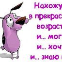 ���� ����, ����, 68 ��� - ��������� 25 ������ 2024 � ������ ���� ����������