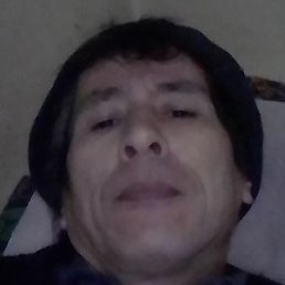 ��������, �����, 55 ���