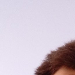 �������, ������, 43 ����