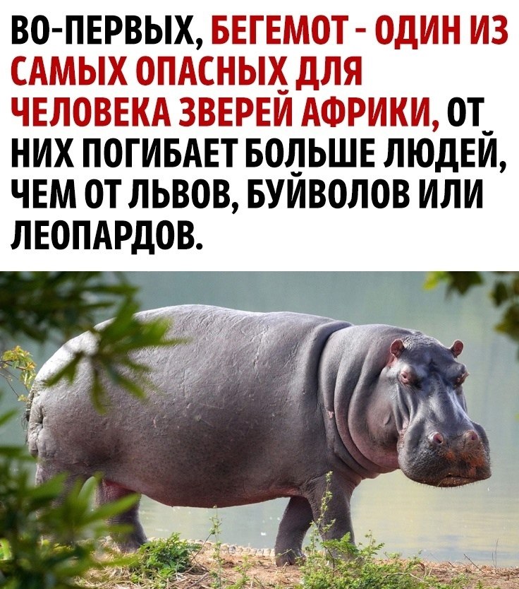    - 2