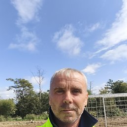 Ը, 50, 