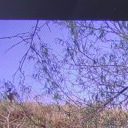 ����, 44 ����, �����������