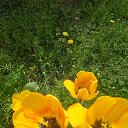 ���� ������, ���������, 57 ��� - ��������� 16 ������ 2025 � ������ ���� ����������