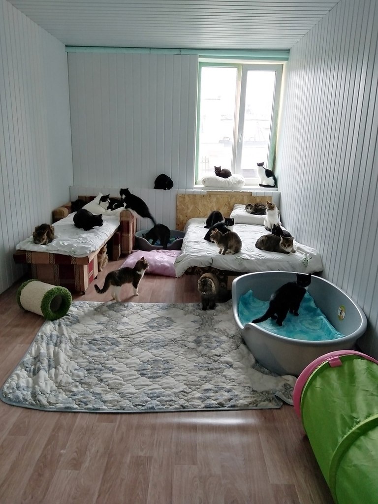    !     !        ... - 4