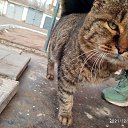 ���� �����, ������, 33 ���� - ��������� 12 ���� 2024 � ������ ���� ����������