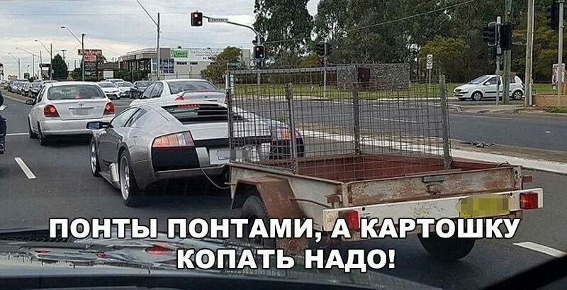 Сергей - 31 августа 2025 в 16:15