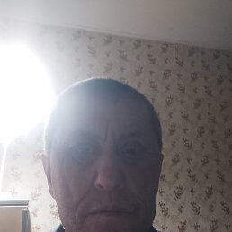 ����, ������, 41 ���