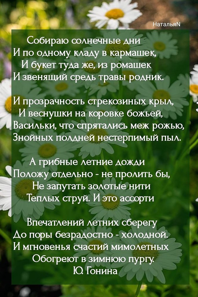   ,    . - 11  2024  10:31