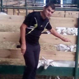 ���� �����, ����, 43 ���� - ��������� 25 ������ 2024