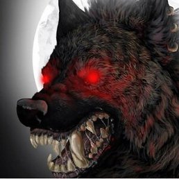 �����, ������