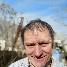 , 61, 