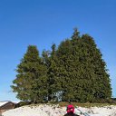 ���� ��������, ������, 51 ��� - ��������� 3 ������� 2026 � ������ ���� ����������
