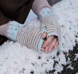 �����������