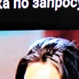 ���� Temur, �����, 23 ���� - ��������� 29 ������� 2023