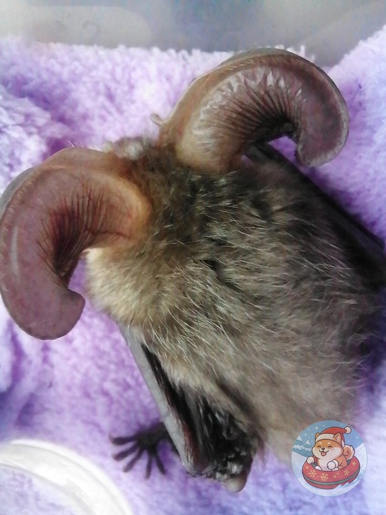 ������� ��� ������, ��� ������ ������� ����� �� ���������� ��������� �������. �� ����� ���� � ����� ...