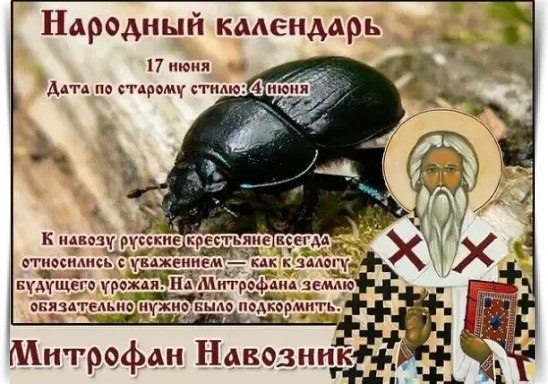 17    , -.     : 4 .  ...