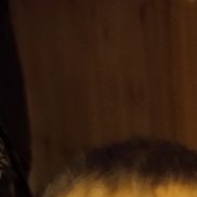 �������, 42 ����, ������