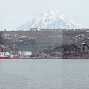 ���� ������, �������, 65 ��� - ��������� 14 ������ 2025 � ������ ���� ����������