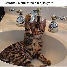 Nina, ������, 47 ���