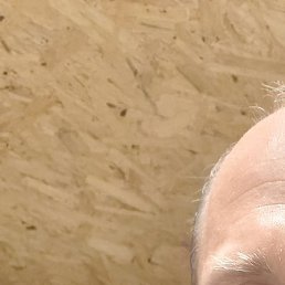 ���������, ������, 49 ���