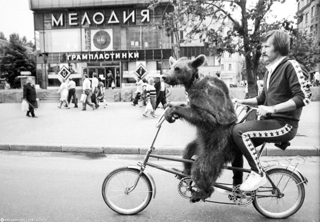 11  1964 .     . 23  1964   ...
